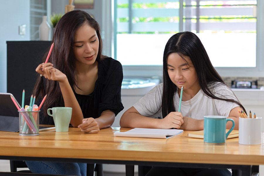 student and tutor together at a desk in Sarasota